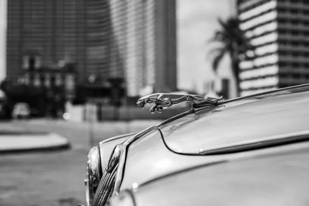 WagerWeb Casino App Android/iOS